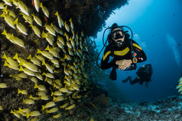Top 10 Scuba Diving Myths
